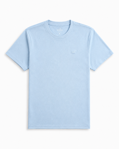 Hollister Icon T-Shirt