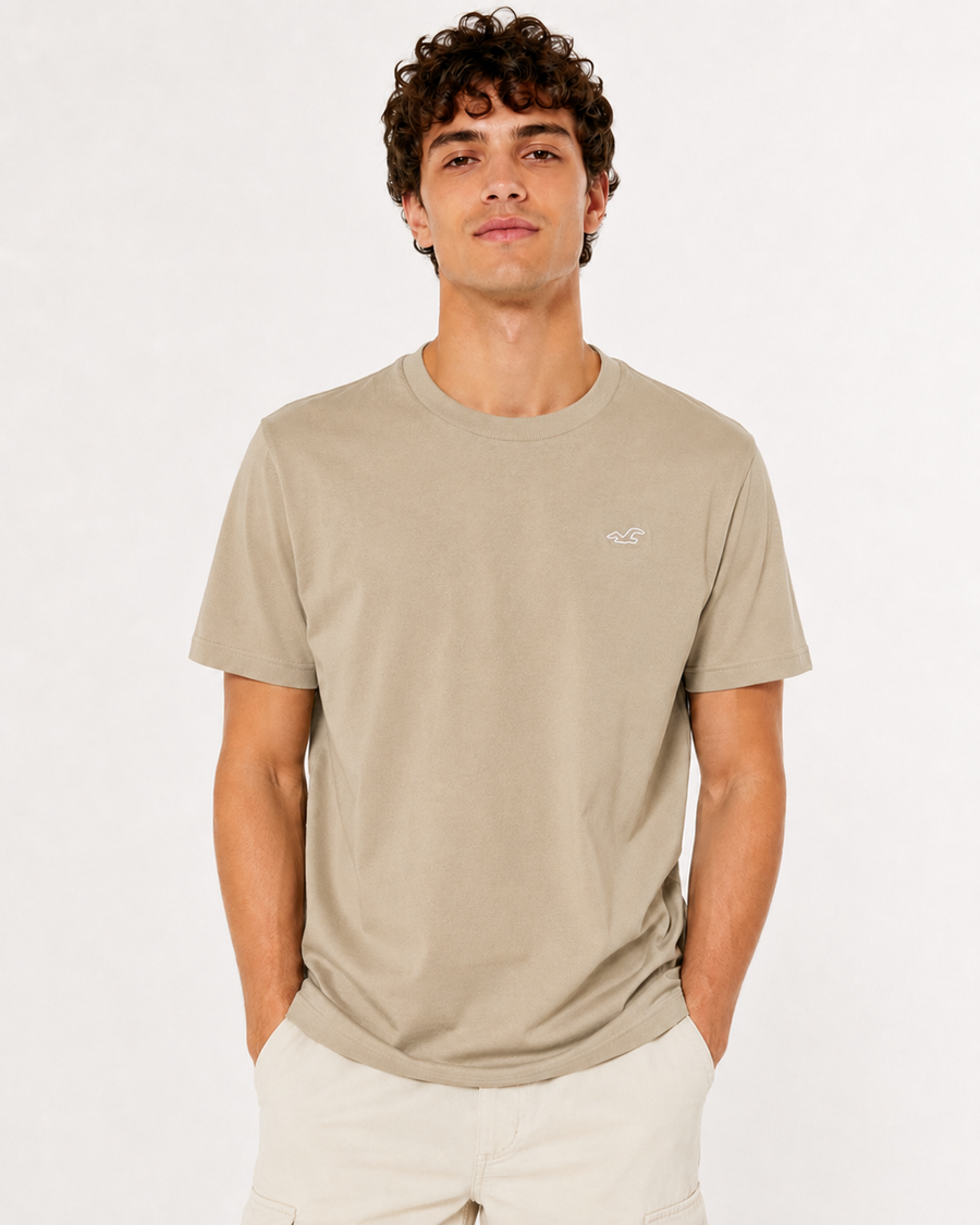 Hollister Icon T-Shirt